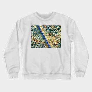 Road through colorful autumn forest Crewneck Sweatshirt